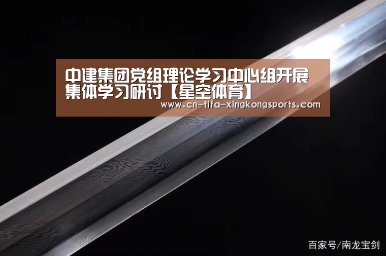 中建集团党组理论学习中心组开展集体学习研讨【星空体育】(图2) 星空体育下载
