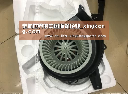 走向世界的中国环保企业_xingkong.com(图2) 星空体育下载