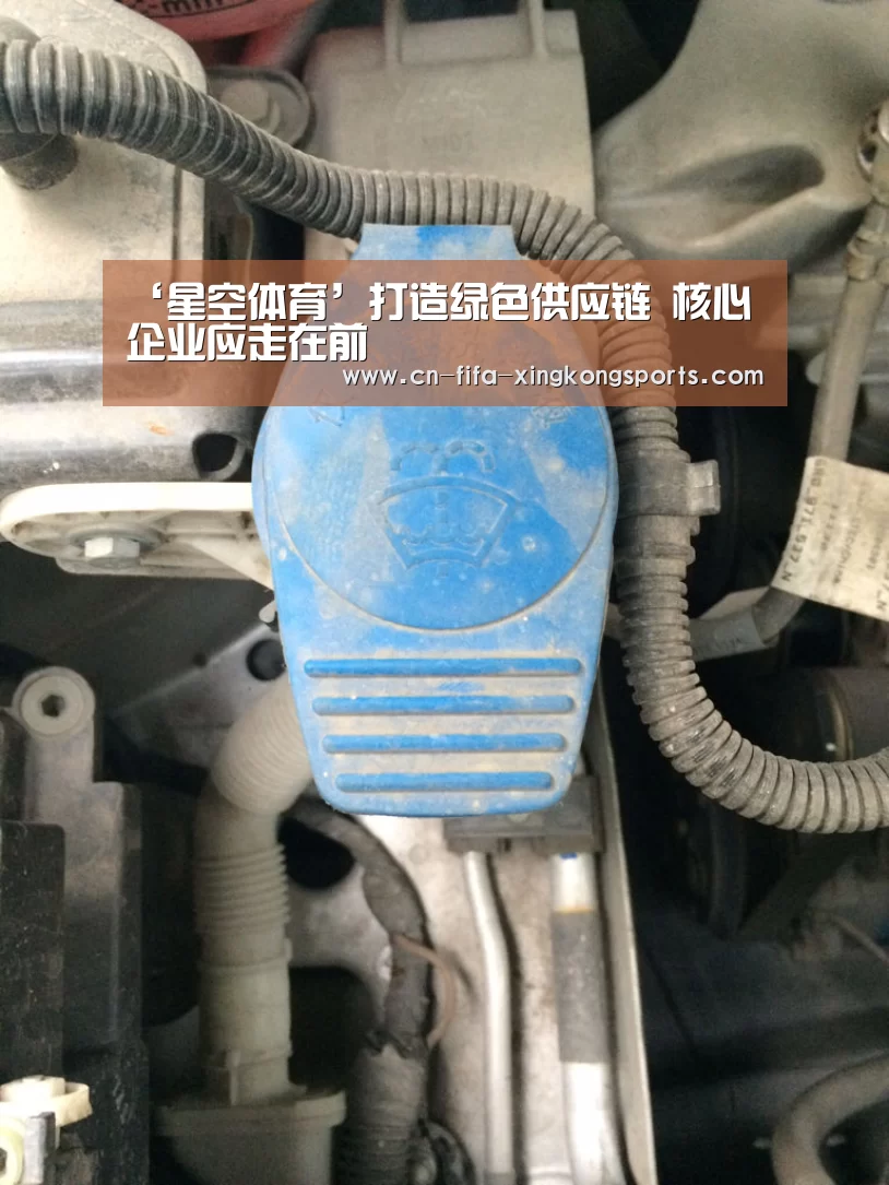 ‘星空体育’打造绿色供应链 核心企业应走在前(图1) 星空体育