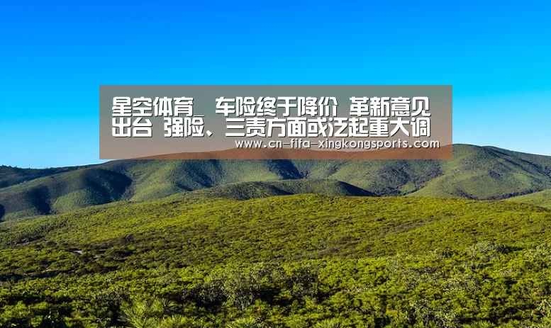 星空体育_
车险终于降价 革新意见出台 强险、三责方面或泛起重大调整(图2) 星空体育app