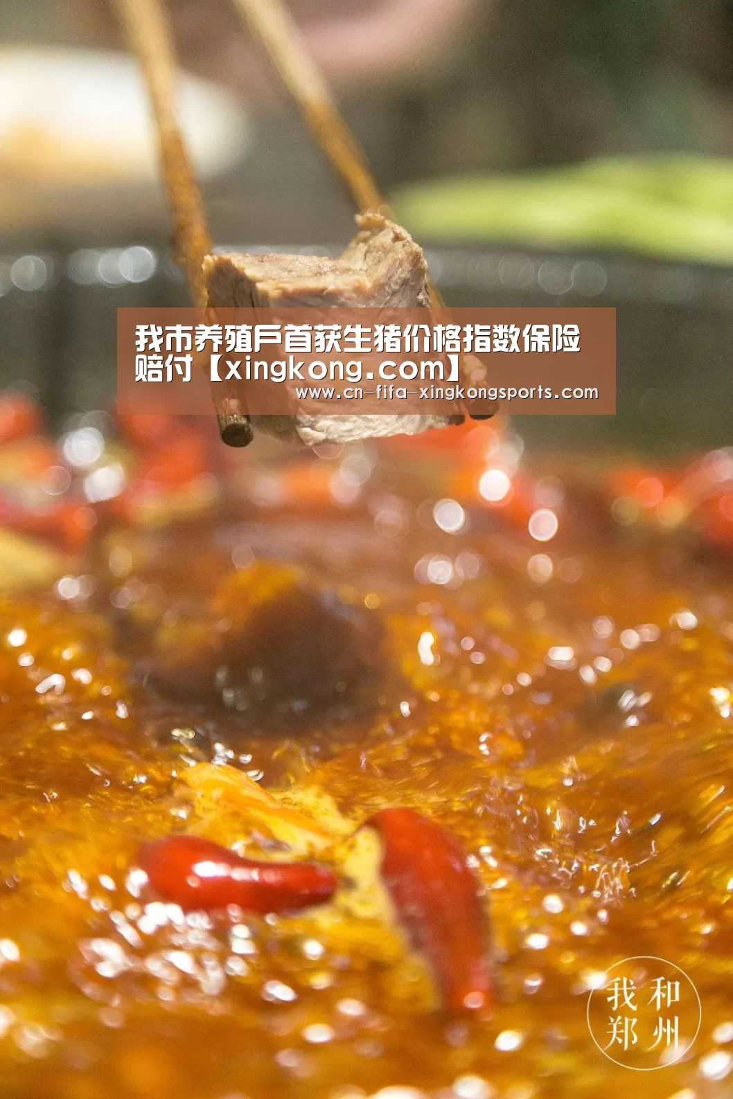 我市养殖户首获生猪价格指数保险赔付【xingkong.com】(图2)