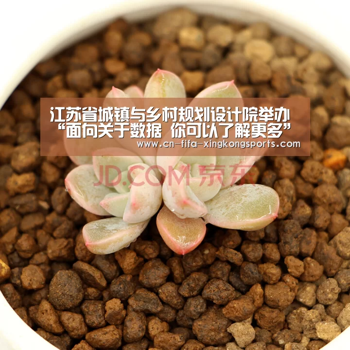 江苏省城镇与乡村规划设计院举办“面向关于数据 你可以了解更多”技术交流会_星空体育app(图3)