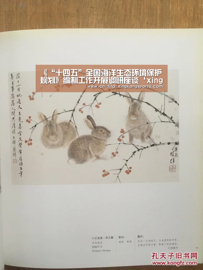 《“十四五”全国海洋生态环境保护规划》编制工作开展调研座谈‘xingkong.com’(图4)