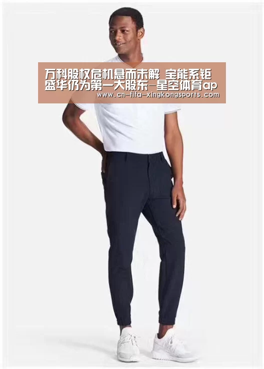 万科股权危机悬而未解 宝能系钜盛华仍为第一大股东-星空体育app(图2)